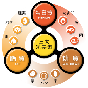 ～ダイエットと筋量アップのためには？②                 （食事編）～