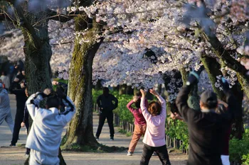 ストレッチは筋肥大効果も減少させる！？